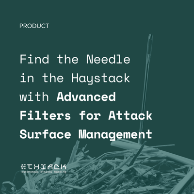 Find the Needle in the Haystack with Advanced Filters for Attack Surface Management