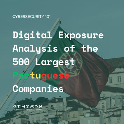 Digital Exposure Analysis of the 500 Largest Portuguese Companies