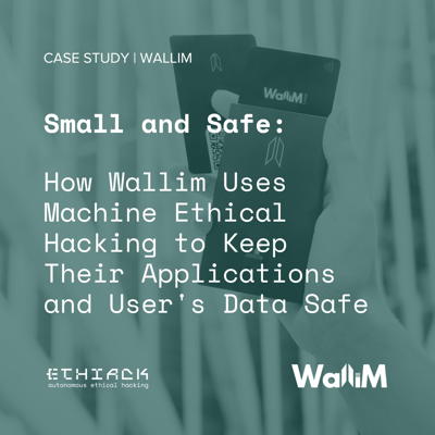 Small and Safe: How Wallim Uses Machine Ethical Hacking to Keep Their Applications and User's Data Safe